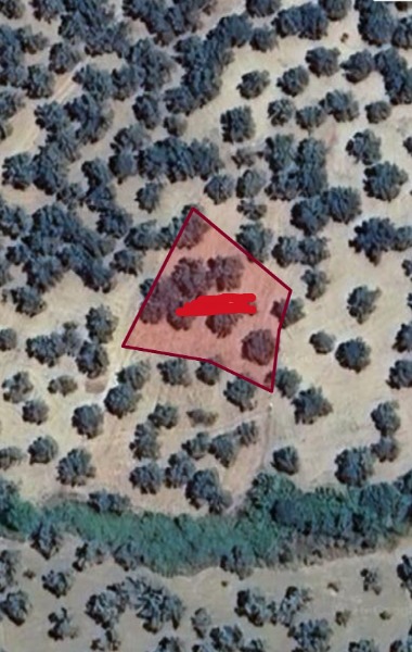 İlan fotoğrafları